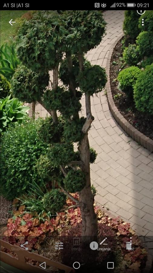 Komenda Angel'S Nest Apartment מראה חיצוני תמונה
